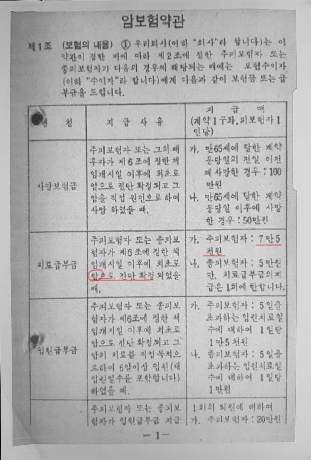 1980년 암보험 약관 내용